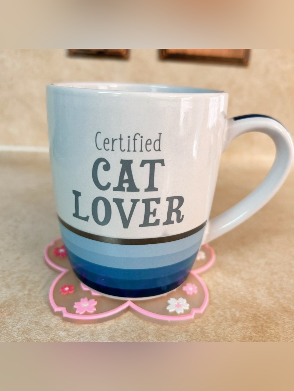 Certified Cat Lover Mug 🐈☕️